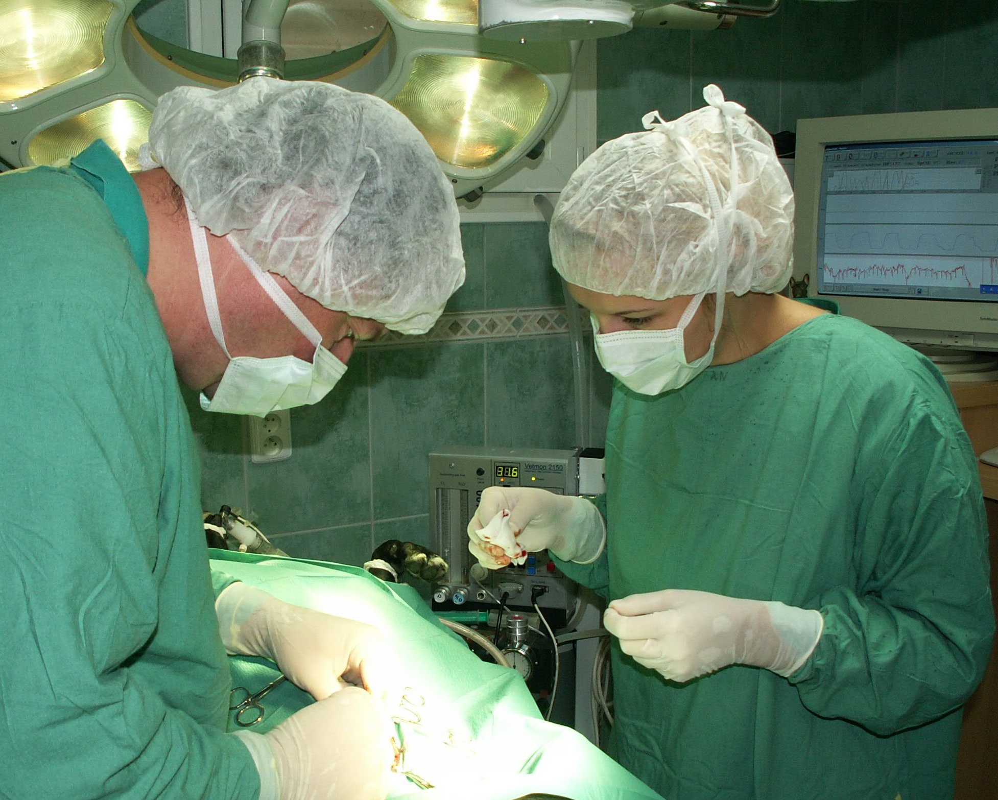 Veterinární klinika Plzeň